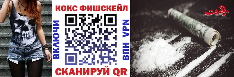 shop официальный сайт  Можга  COCAIN FishScale 