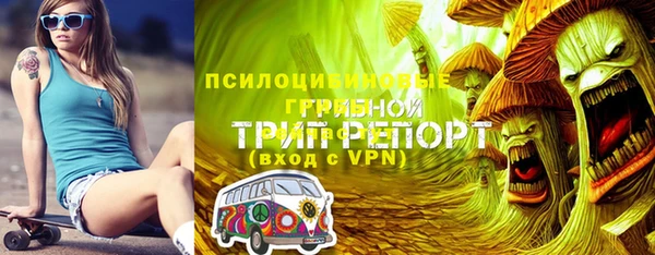 альфа пвп Армянск