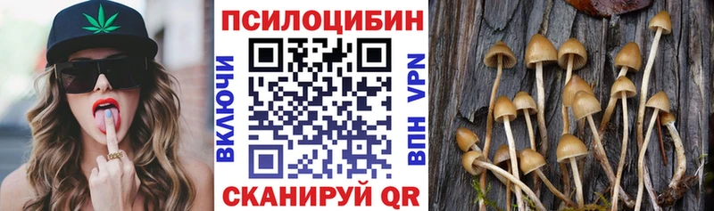 Галлюциногенные грибы ЛСД Можга